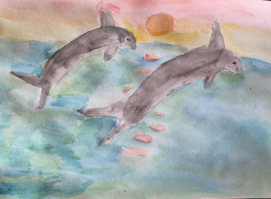 Дельфины Балтийского моря