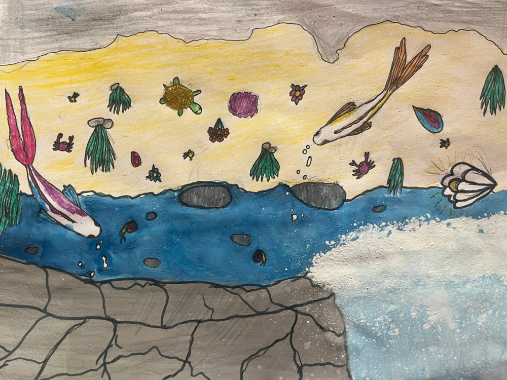 Подводный мир будущего