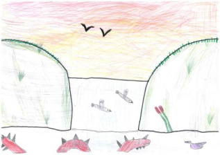 Красота во всем