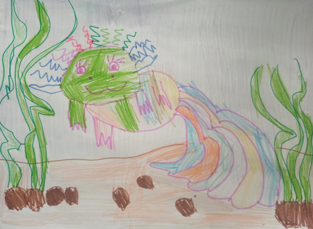 Речная радуга