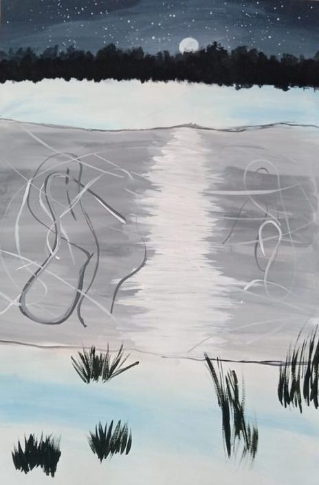 Ночной каток