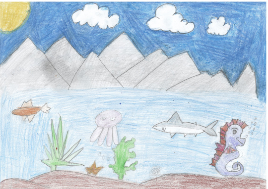 Морские жители