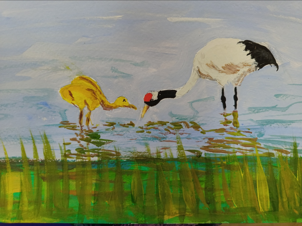 Японский журавль на реке Амур. 