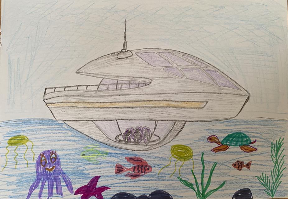 Необыкновенное путешествие 