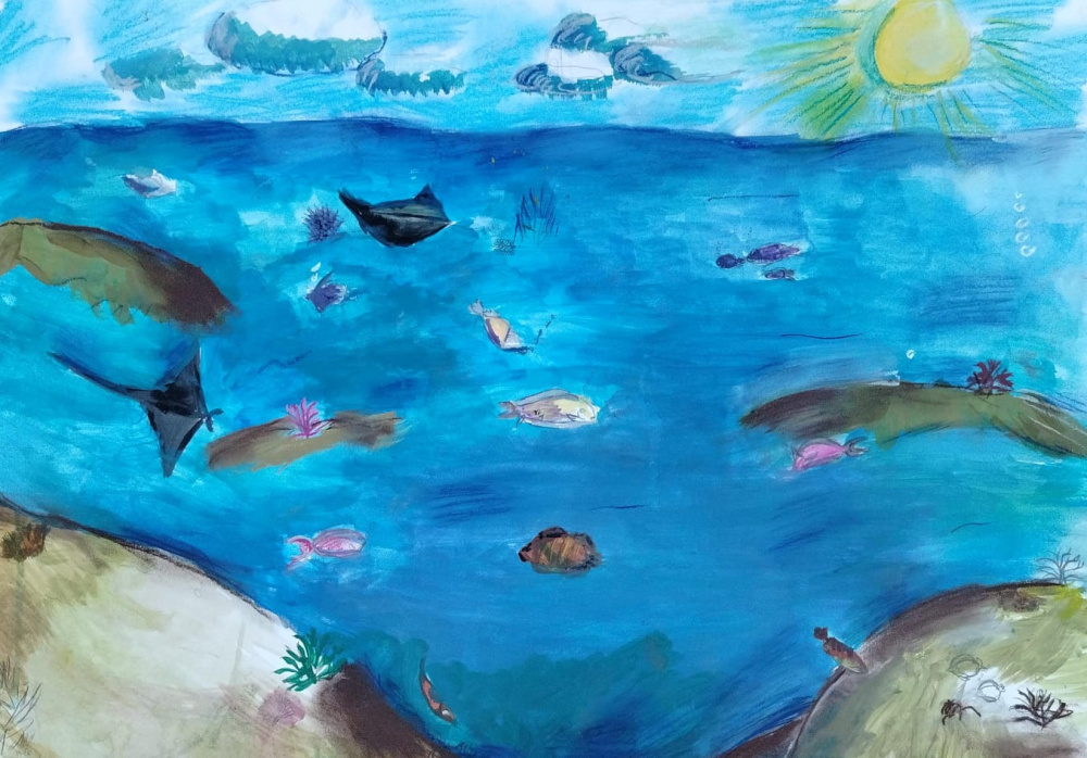 Красное море