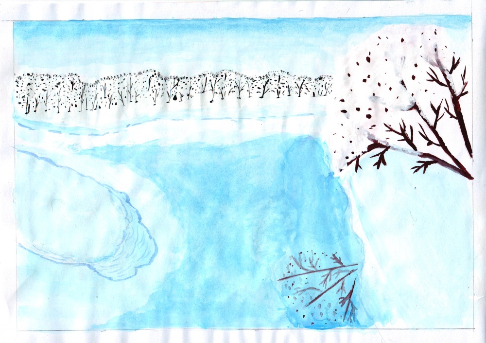 Волшебные пейзажи зимнего водоёма