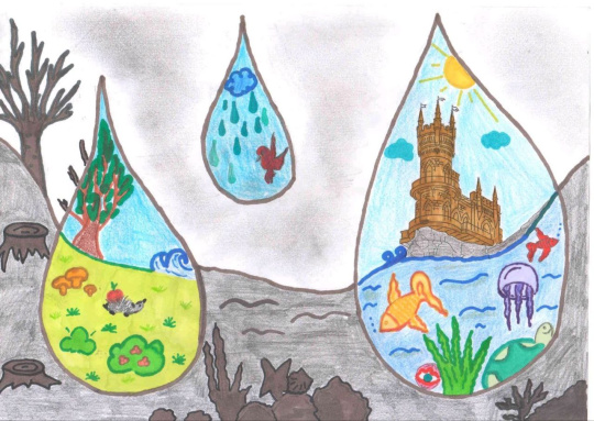 Роль воды в  нашей жизни 