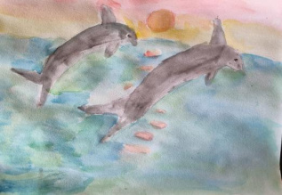 Дельфины Балтийского моря