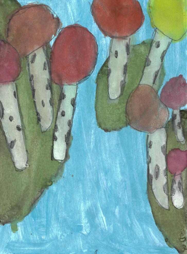 река осенью сверху