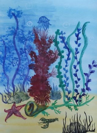 Красота подводного мира