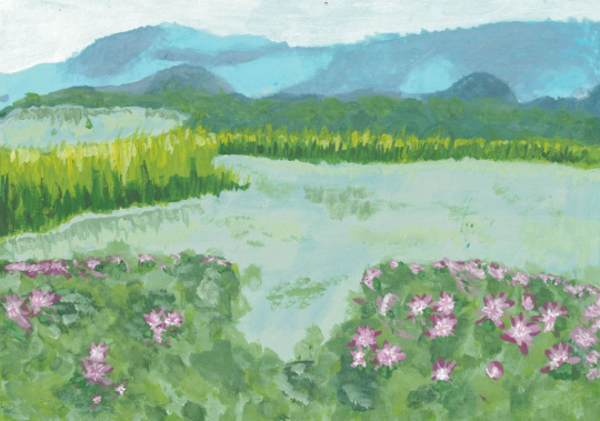 Озеро лотосов