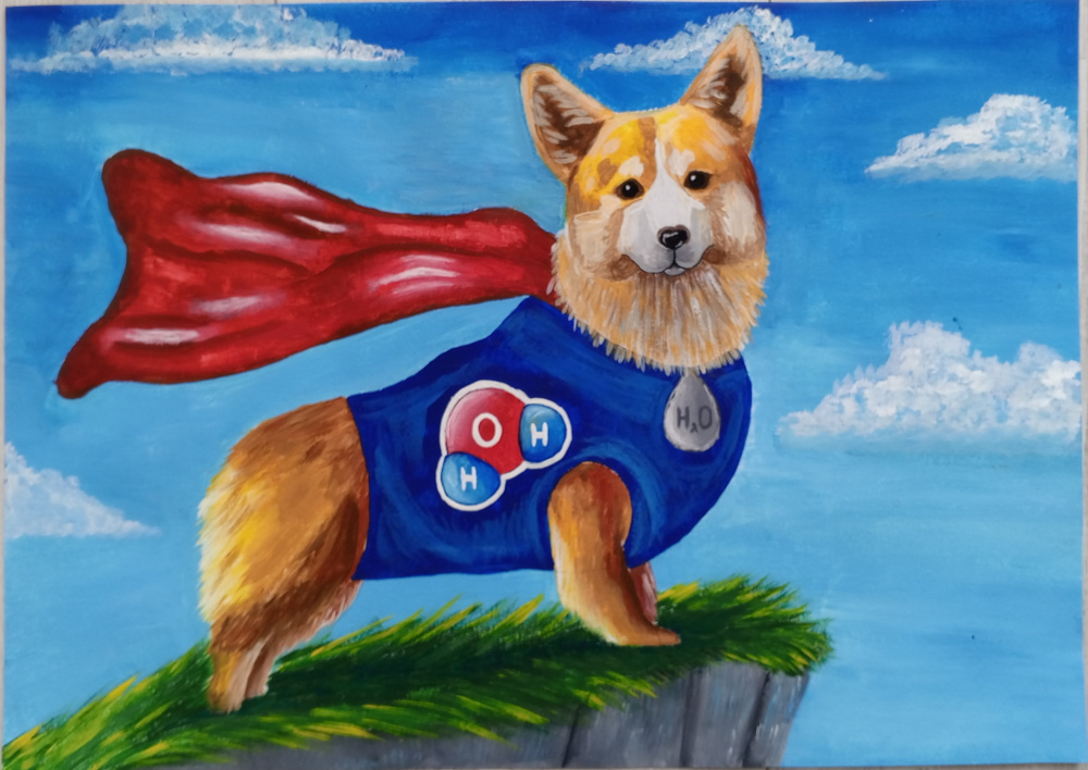 Корг - хранитель чистой воды