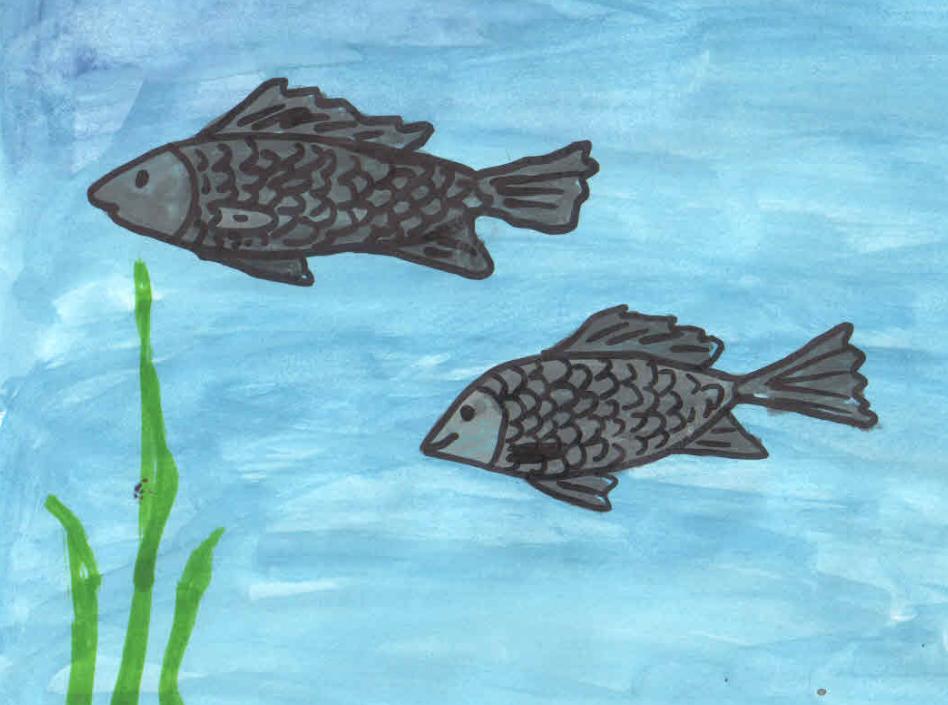 Жизнь кипит