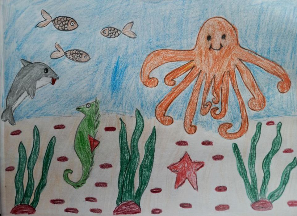 Подводный мир