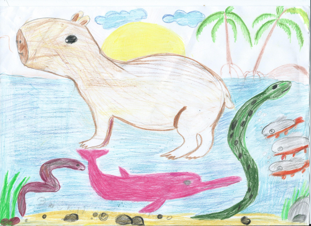 Капибира на Амазонке