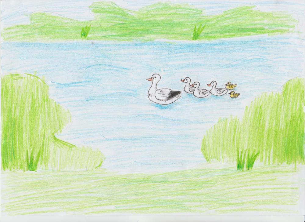 Семья уточек