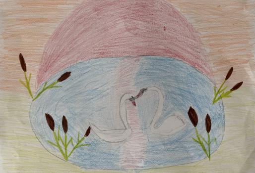 Лебяжья поляна