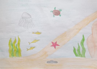 Жители морей и океанов. 