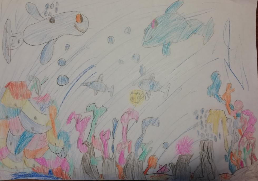 Аквариумное чудо. 