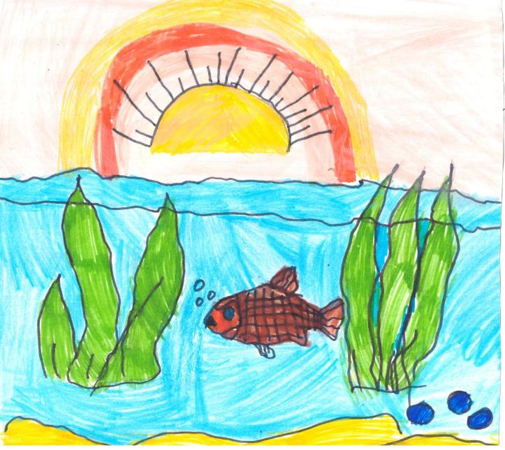 "Золотая рыбка"