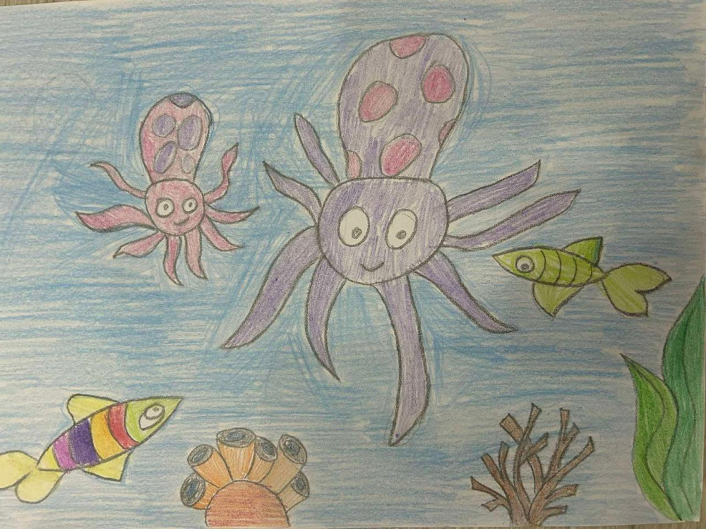 Океан без мусора