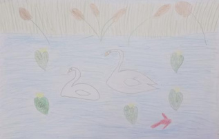 Летнее утро