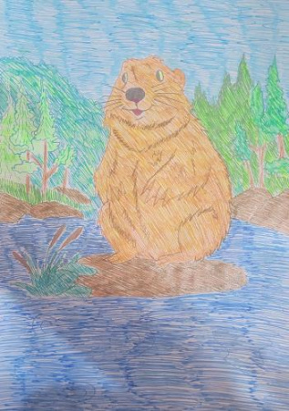 Капибара ждёт свою семью!