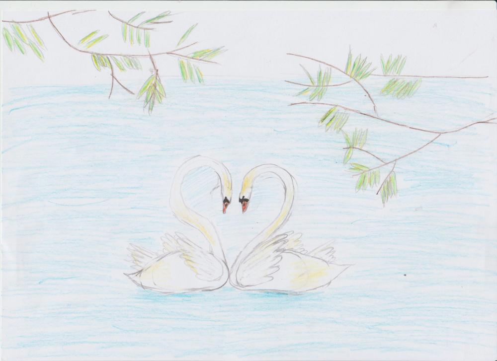 Семья лебедей