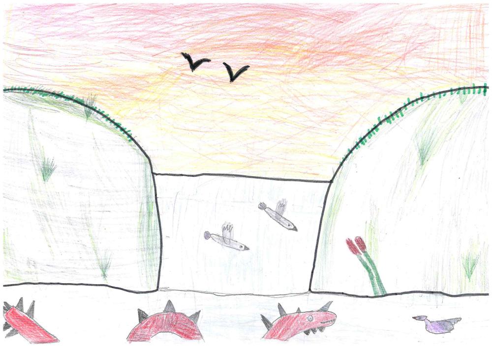 Красота во всем