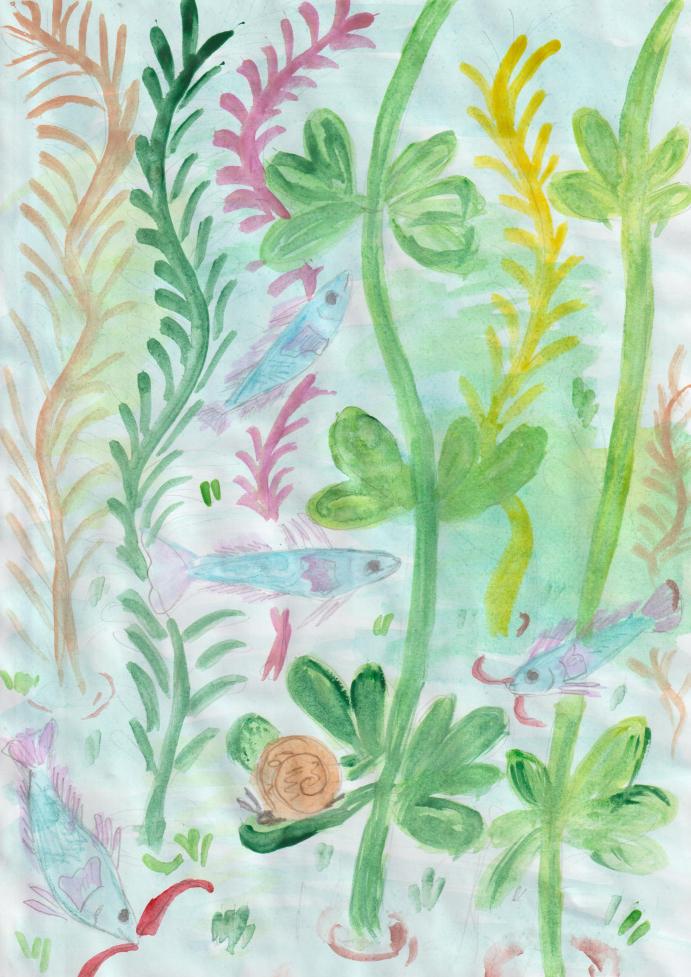 Подводный мир