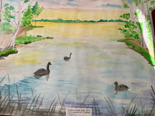 Времена года. Вода. Лето