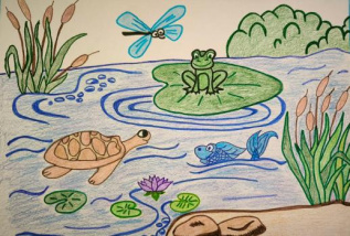 Обитатели любимой реки