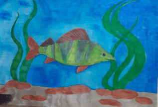 обитатели воды