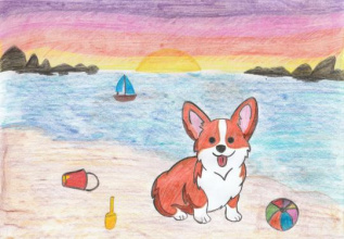 Приключения корги