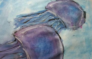 Тёмные медузы 