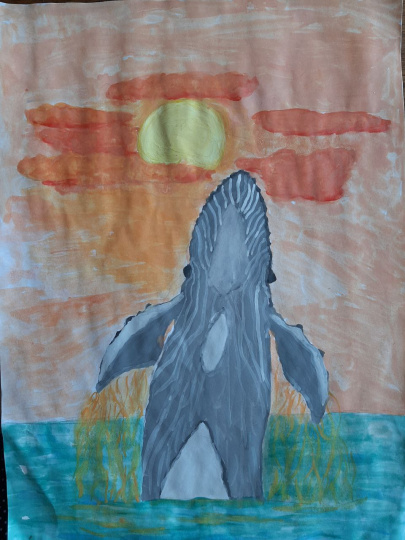 Жизнь океана