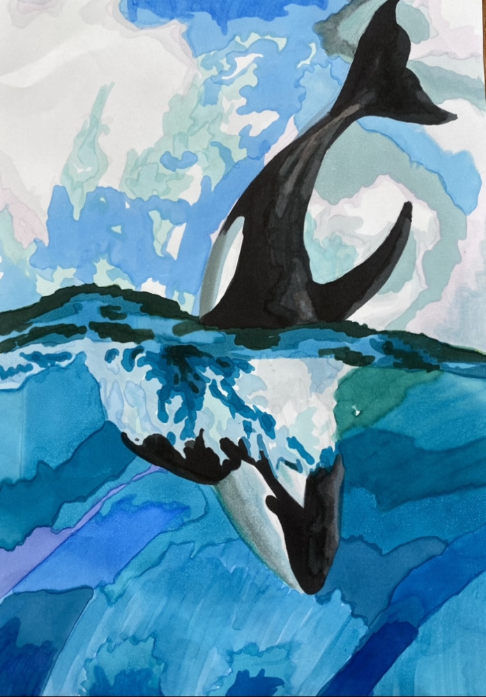 Бухта Нагаево. Охотское море.