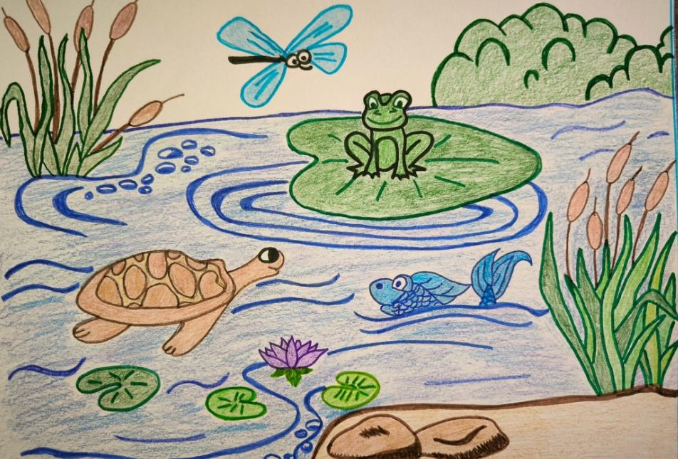 Обитатели любимой реки