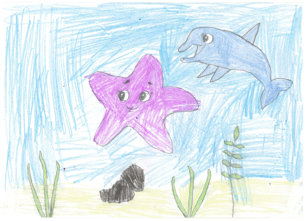 Морские животные