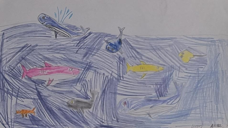 Рыбки в воде