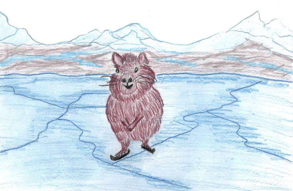 Капибара на Байкале катается на коньках