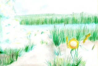 Река Ея в моей станице Крыловской 