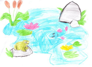 "Красота нашего водоема"