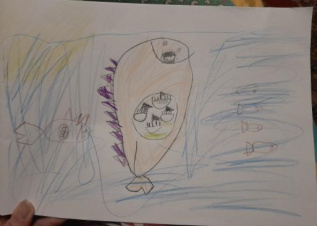 Морские жители