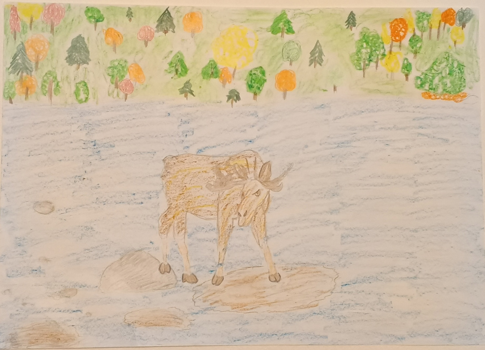 Бабаевский пруд