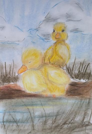 Утята возле пруда 