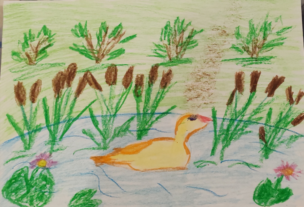 Утка в пруду