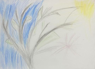 «Тайны реки»