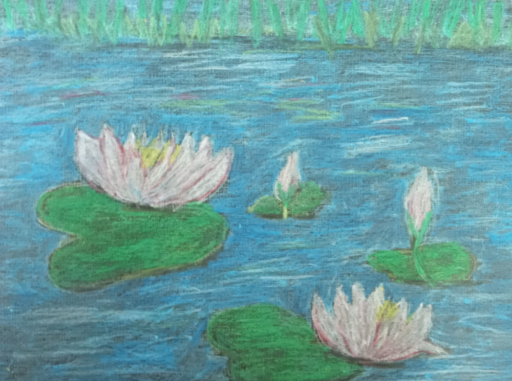 Озеро в кувшинках