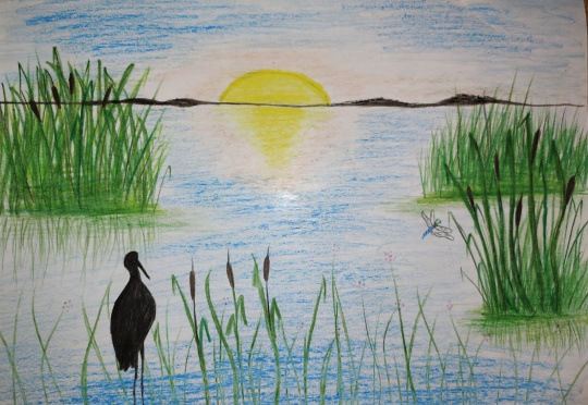 Водно-болотное угодье Амурской области 